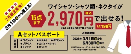 ���C�V���c�E�V���c�ށE�l�N�^�C��15�_��2,970�~�i�ō��j�ŏo����I